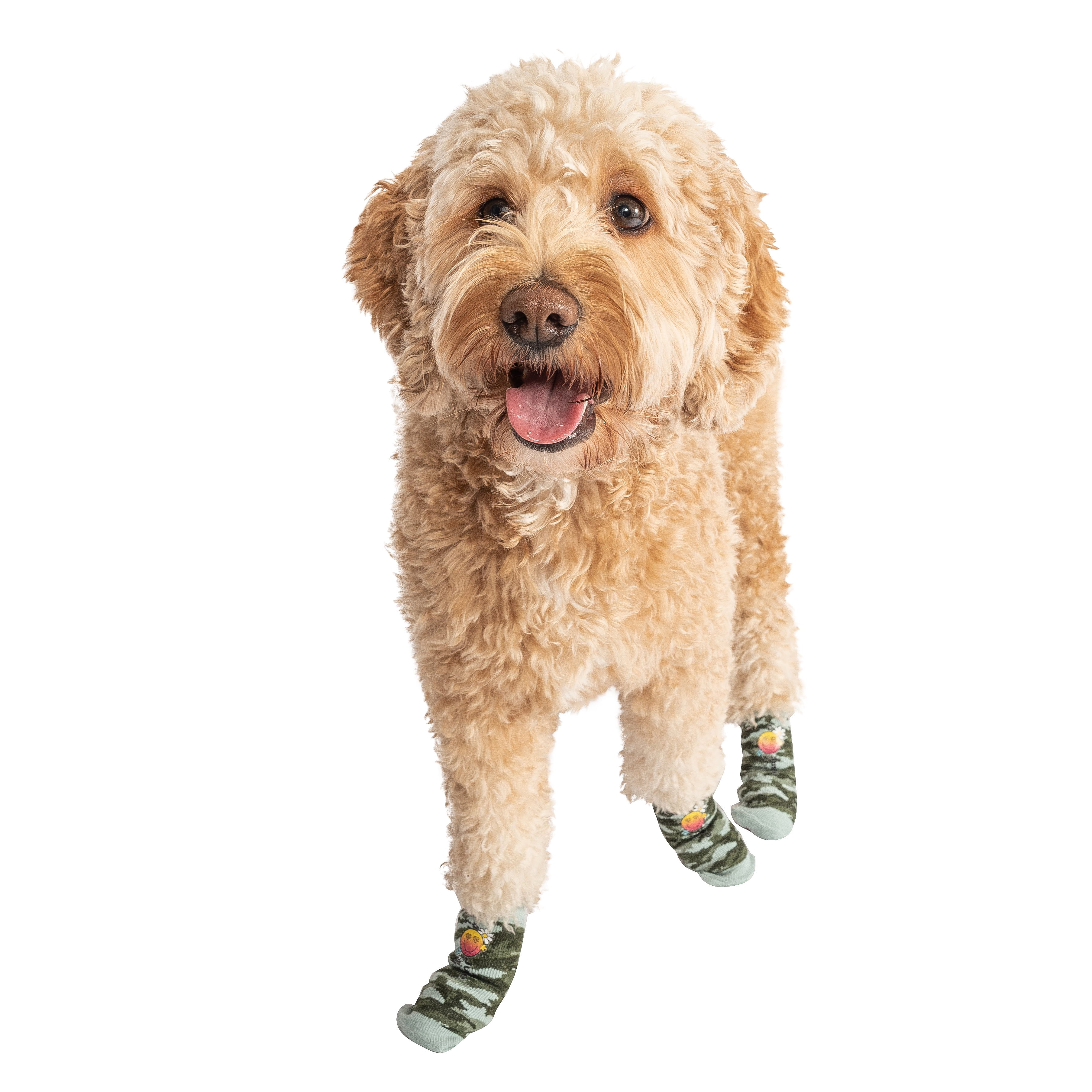 Pets printed on socks sale