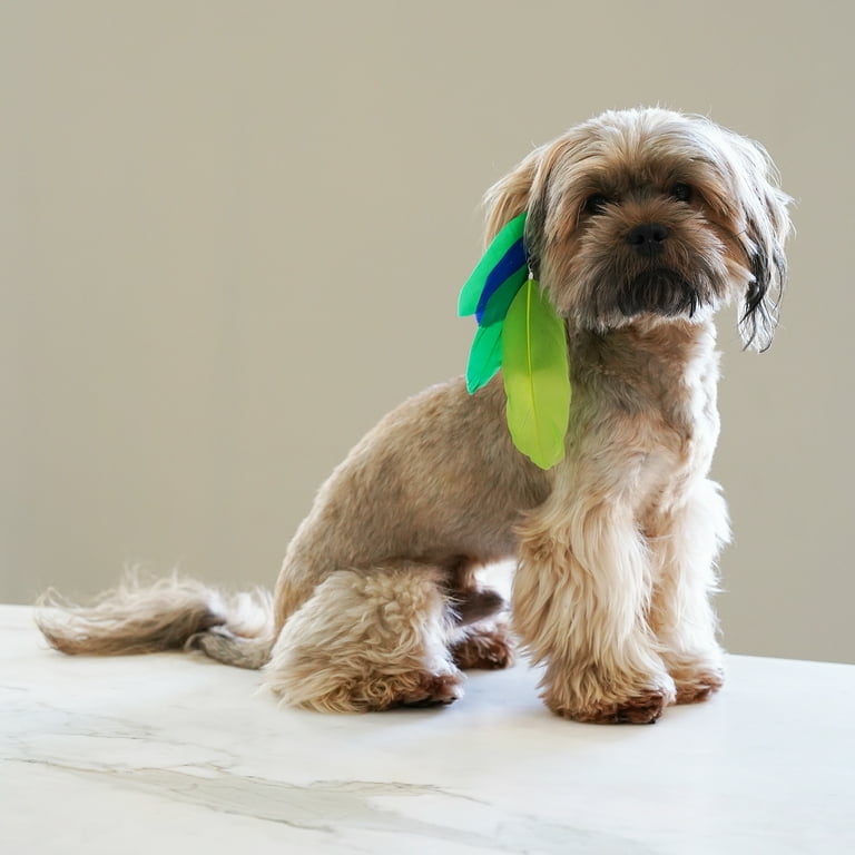 Feather extensions for dogs outlet