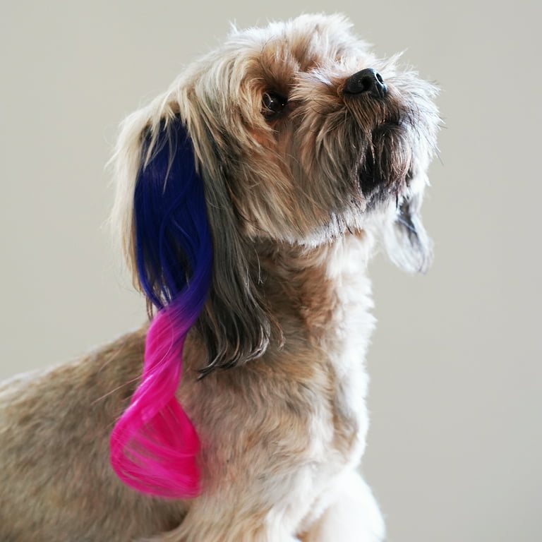 Justice Pet Pet Accessories Ombre Wavy Furstension Dog Cat Pet Fur Extension Assorted Color Easily Clips Into Pet Fur At Any Length Walmart