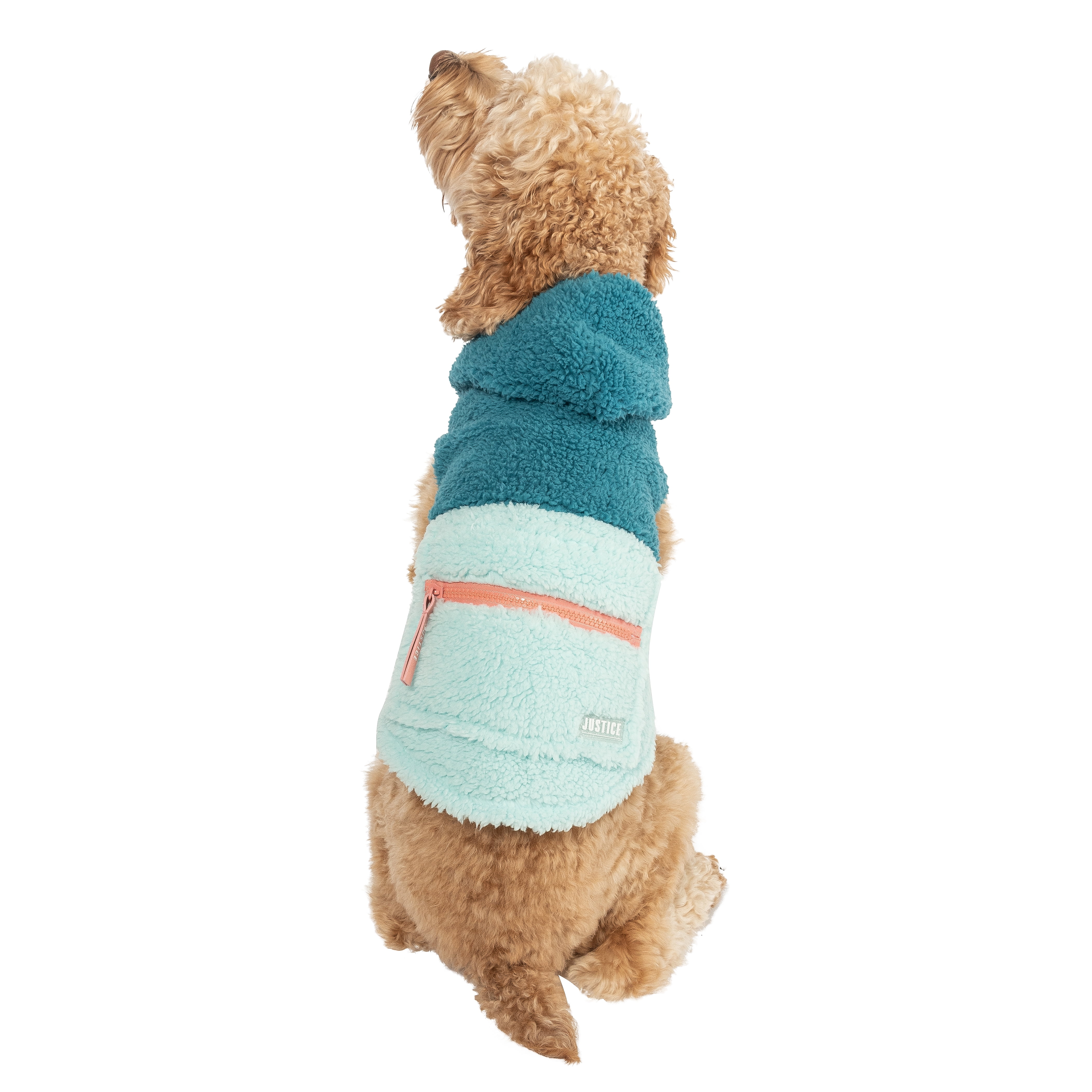 Justice Pet Polyester Sherpa Snowflake Dog Hoodie, Turquoise, XS