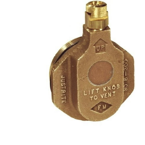 Justrite 08300 2" Npt Brass End of Drum Brass Bung Vent