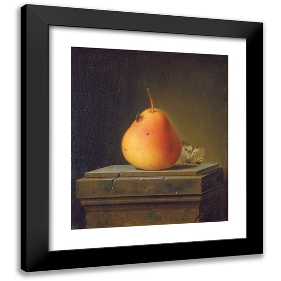 Justus Juncker 20x23 Black Modern Framed Museum Art Print Titled - Still Life with Pear and Insects (1765)