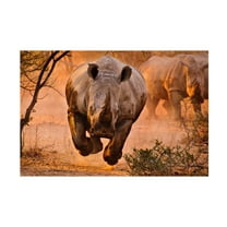 Trademark Fine Art Justus Vermaak Rhino Learning To Fly Canvas Wall Art - 12x19