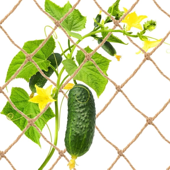 Jute Trellis Netting for Climbing Plants, Heavy Duty Jute Plant Support Net Natural Jute Hemp Rope Net with 5.9 inch Mesh for Climbing Vine Vegetables Cucumber, Tomatoes, Peas (3.3 * 6.5 FT)