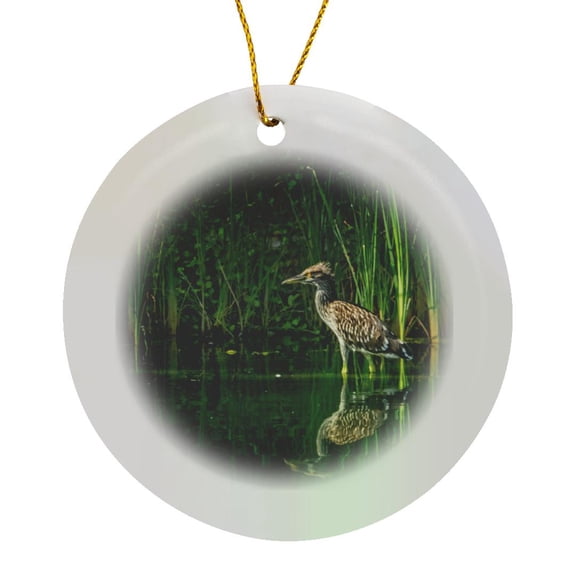 3drose, Juvenile Black Capped Night Heron, Circle Porcelain Ornament