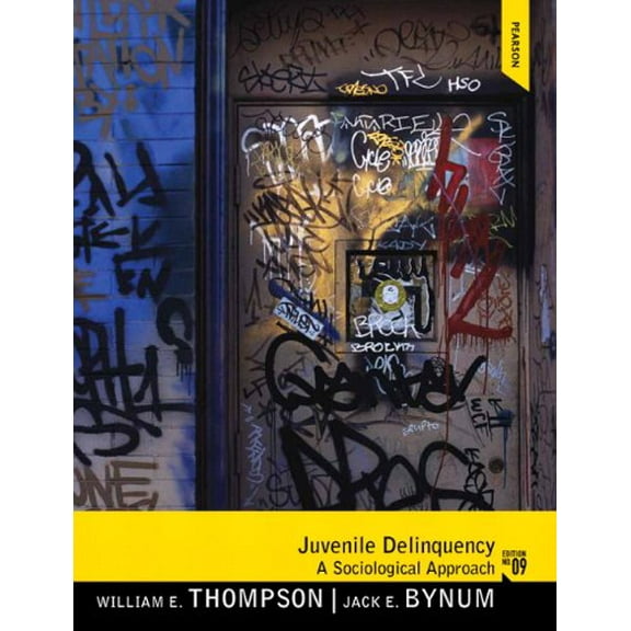 Pre-Owned Juvenile Delinquency (Paperback) 0205246532 9780205246533