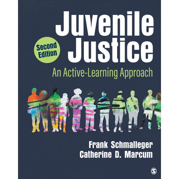 Pre-Owned Juvenile Justice: An Active-Learning Approach, (Paperback)