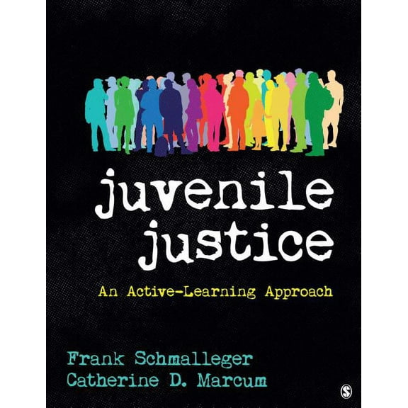 Pre-Owned Juvenile Justice: An Active-Learning Approach, (Paperback)