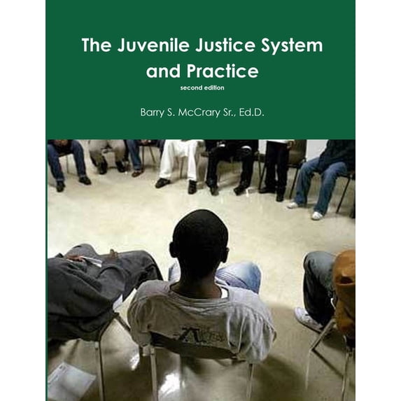 Juvenile Justice System and Practice (Paperback)