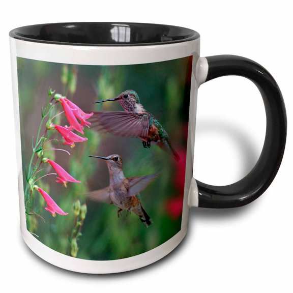 3drose, Juvenile Ruby-throated Hummingbirds, Archilochus Colubris, Texas, 11oz Two-tone Black Mug