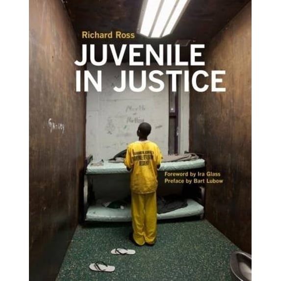 Pre-Owned Juvenile in Justice (Paperback) 0985510609 9780985510602