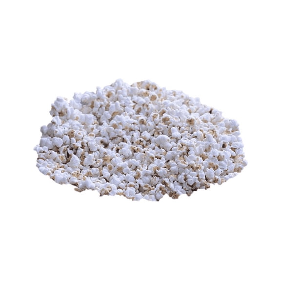 Juwar Dhani (Popped Sorghum) Jowar Dhani