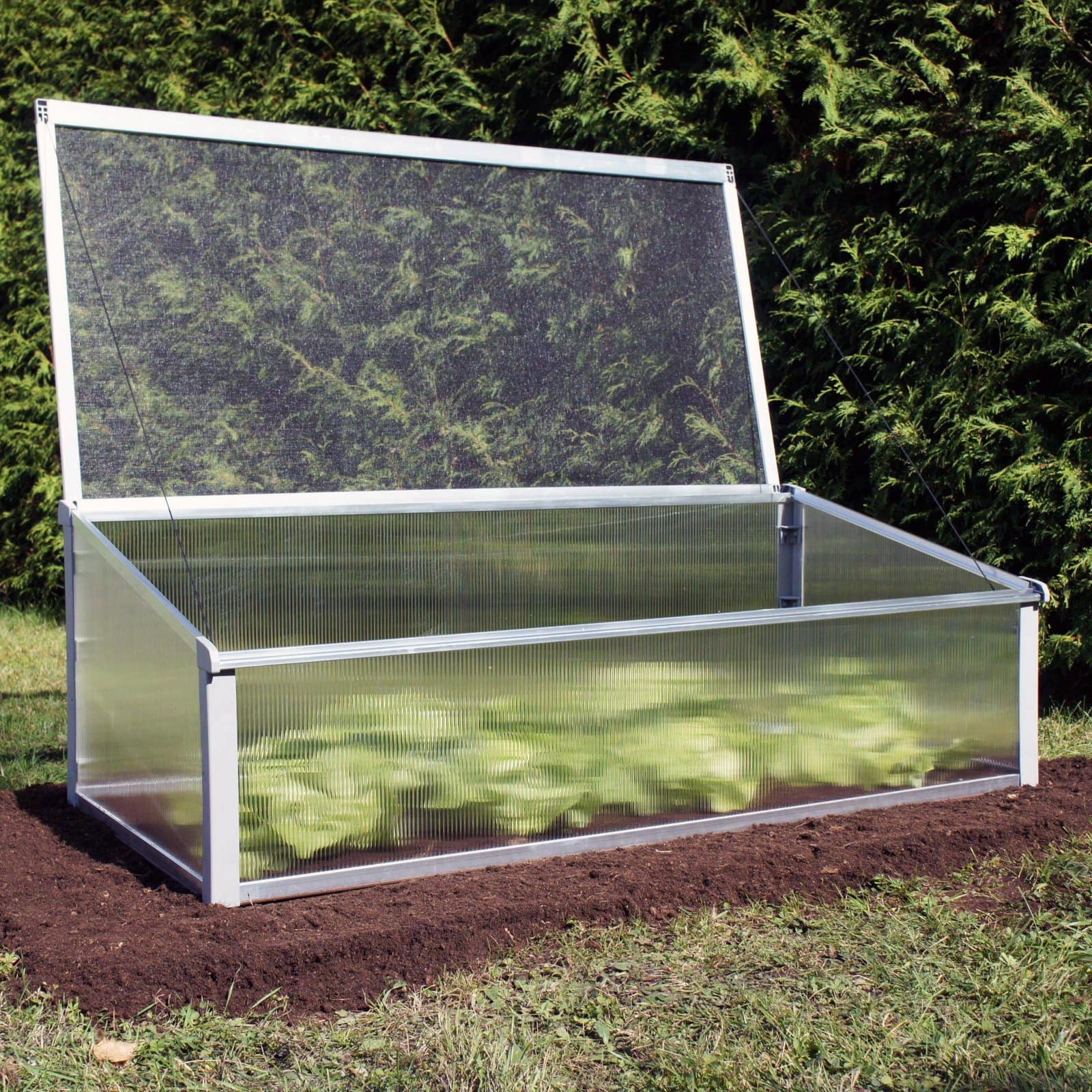 Anodized Aluminum Year-Round Cold Frame Greenhouse with Polycarbonate Panels