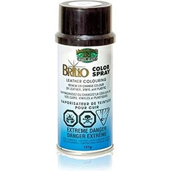 Jwongboutique Moneysworth & Best Brillo Leather Color Spray Chamois 4.5 oz