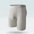thumbnail image 1 of Jyeity Mens Boxer Briefs,Mens Underwear Boxer Briefs,Mens Underwear Boxer Briefs,Antibacterial,Breathable,Solid,Elastic WaistNylon,Gray,XL, 1 of 5