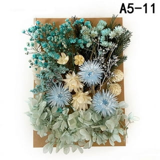 1Box Real Dried Flowers For DIY Art Craft Epoxy Resin Pendant