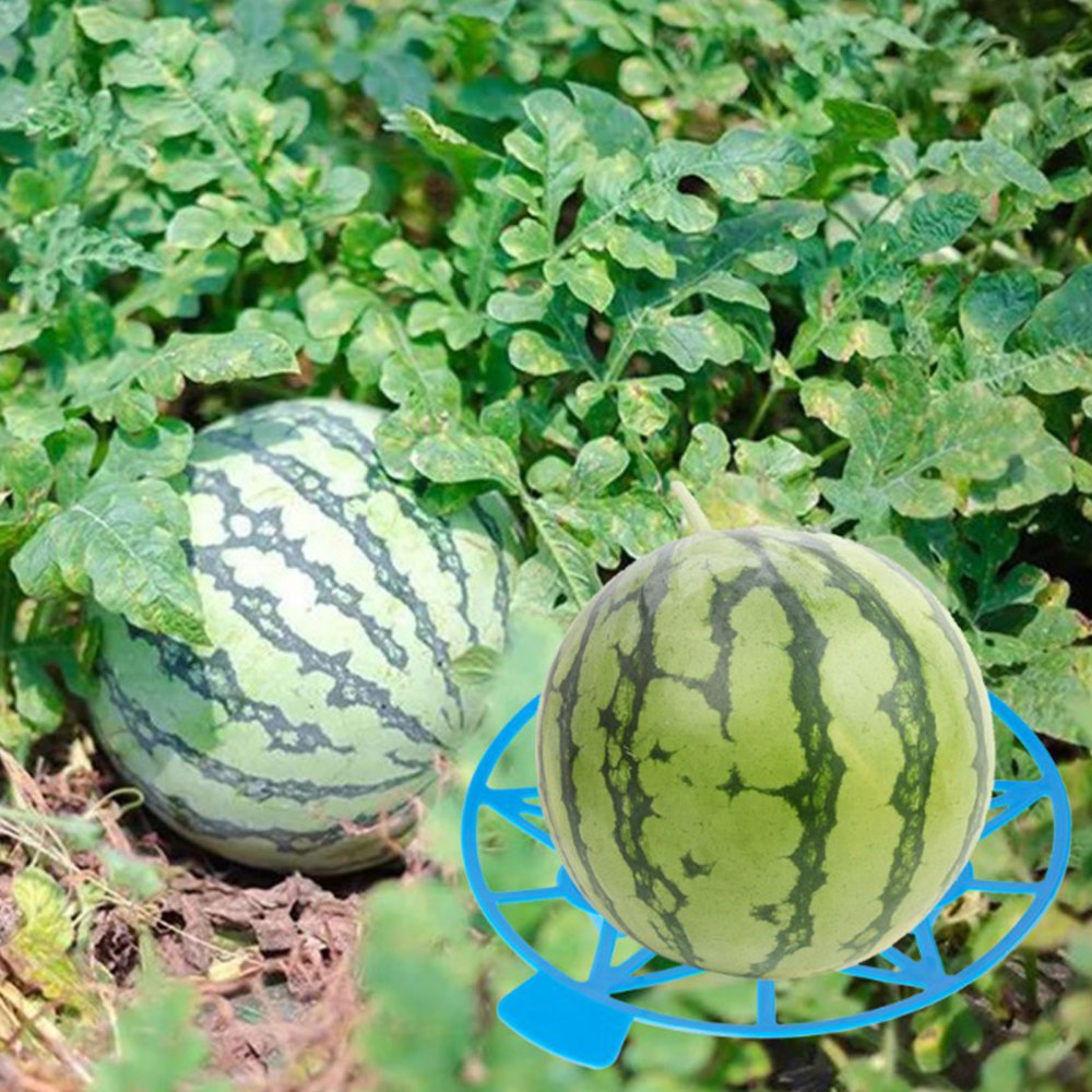 Jzenzero Watermelon Growth Stable Tray Help Fruits Grow Healthier