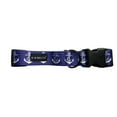 thumbnail image 1 of K-9 Beltz Classic Style Dog Collar with Buckle (Large), 1 of 5