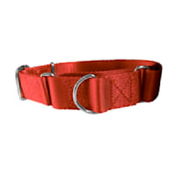 K-9 Beltz Dog Collar, Martingale, Wide 1.5" 3.8 cm, Nylon Slip Collar X-Large (21" - 31") 53 - 78.7 cm)