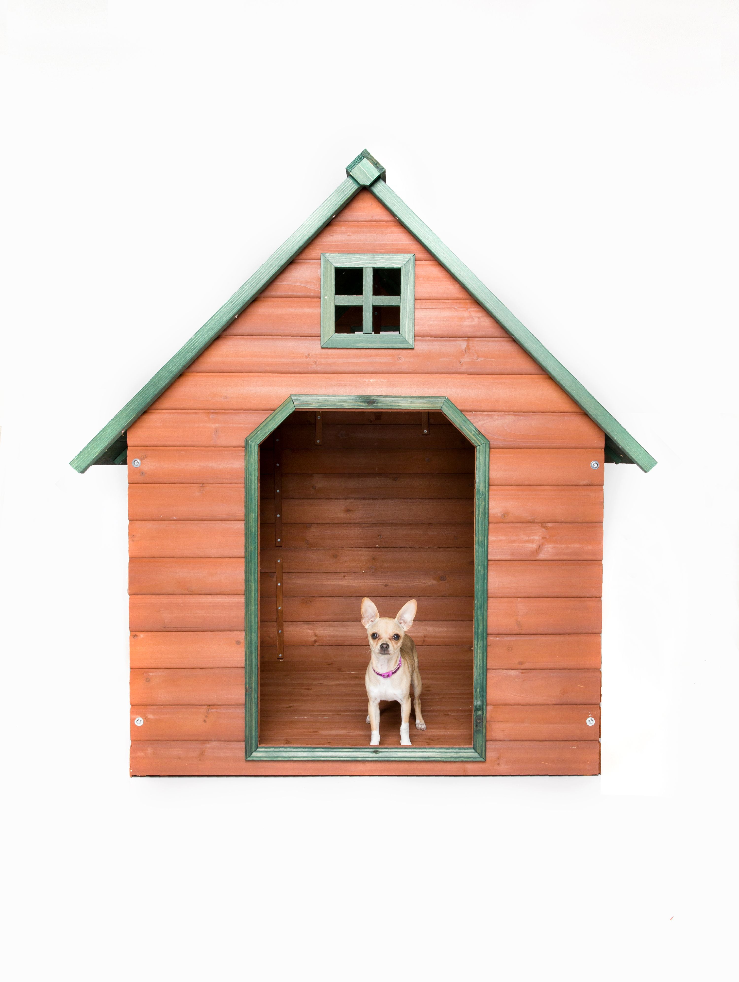 Large Cedar Wood Insulated Raised Doghouse with Green Trim
