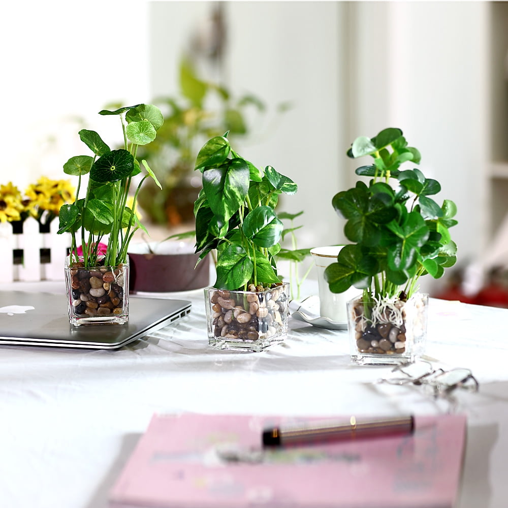 K-Cliffs 3pcs Modern Artificial Green Mini Faux Plants  in Glass Pots, Each plant- 5.7L x 5.7W x 9.3H inches; each pot- 2.7L x 2.7W x 2.6H, 1 lb