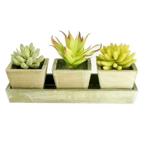 K-Cliffs Faux Rustic Wooden Succulent Planter Arrangement| of Cactus, Aloe Vera