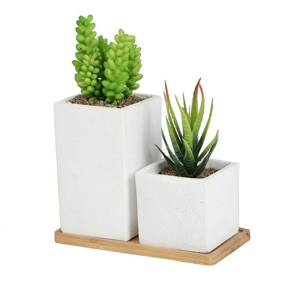 K-Cliffs Faux Succulents in Square Modern White Cement Pot with Saucer Set of 2. Approximate Dimensions Overall - 3.5” W x 6.8” L x 8.3” H