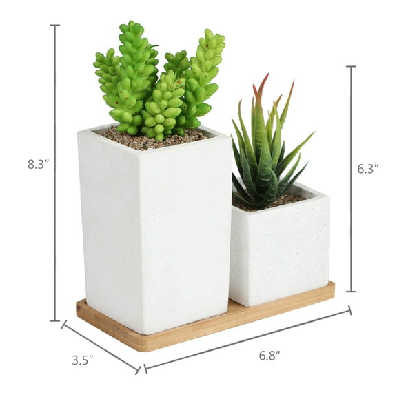 K-Cliffs Home Decor, Faux Succulents in Square Shaped White Cement Pot with Saucer for Home or Office  Set of 2
