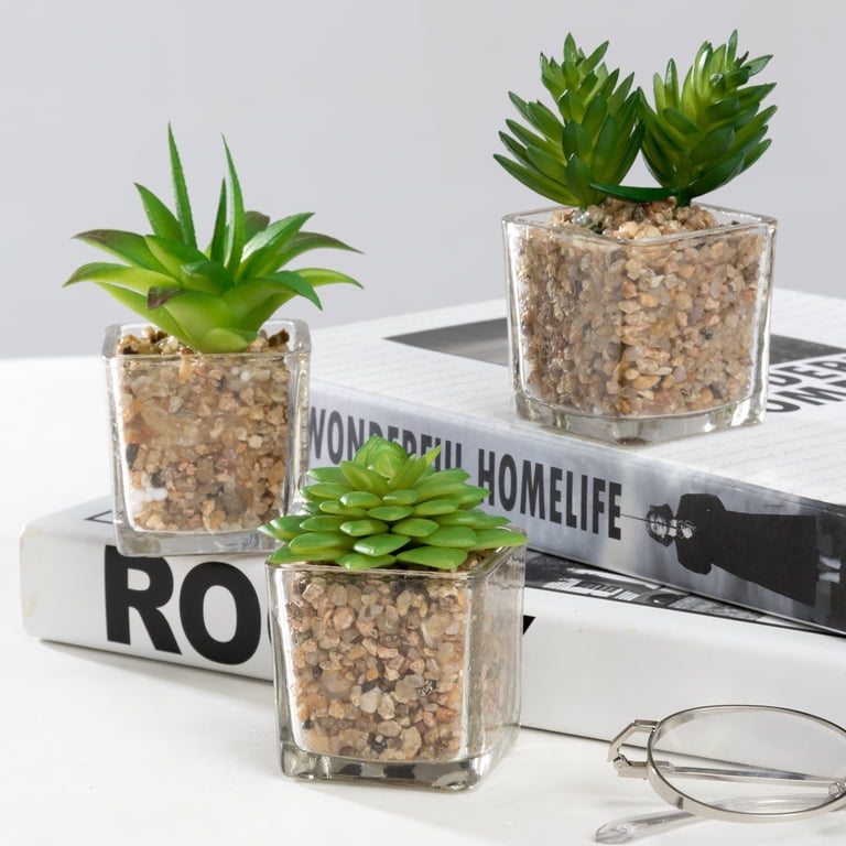 K-Cliffs Mini Succulent Potted in Modern Cube Shape Clear Glass Pots 3pcs  Set.Overall- 8.3L x 3.9W x 4.3H inches; each Pot (not including Plants)- 2L  ...
