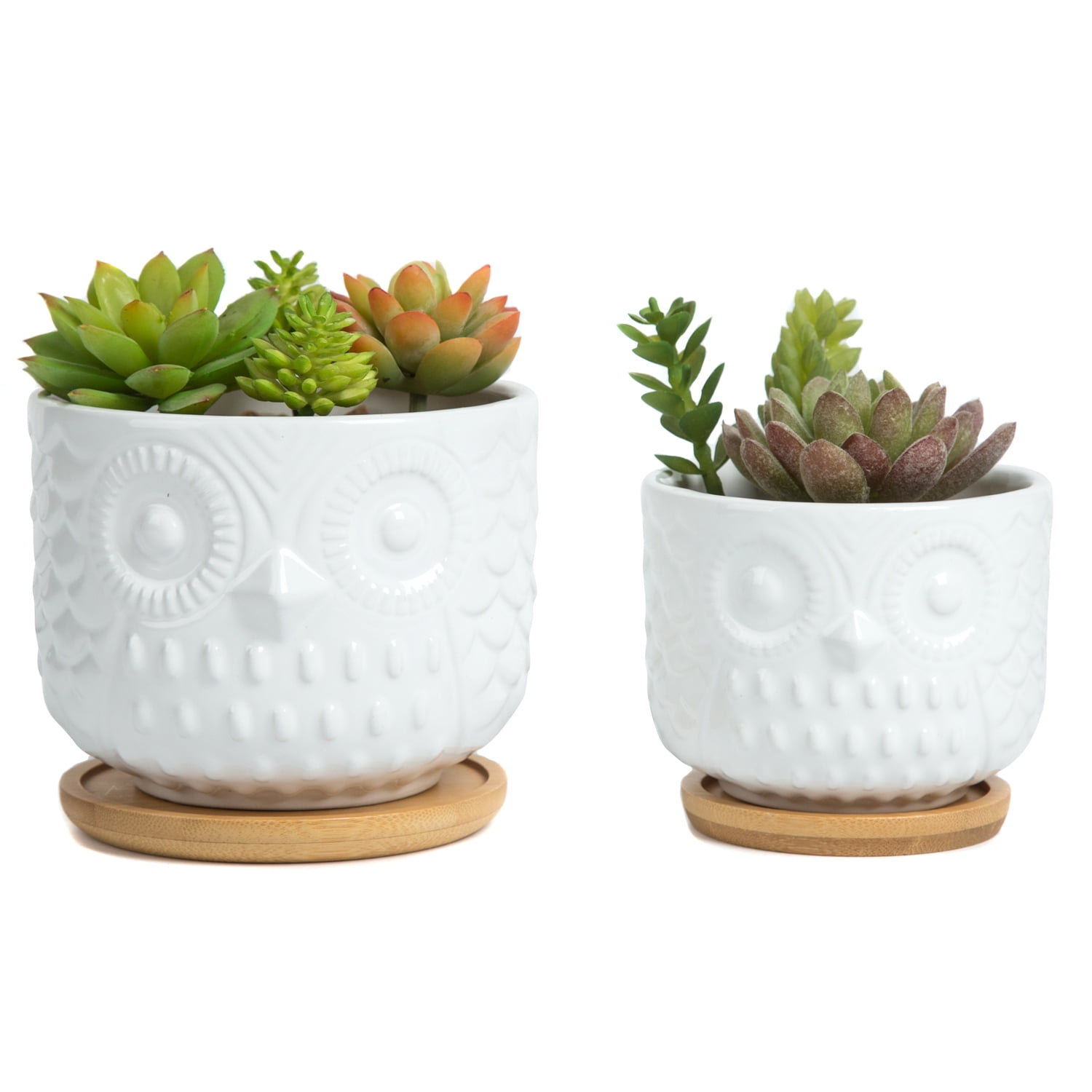 K-Cliffs Owl Succulent Planter, Animal  Pots with Drainage Hole and Bamboo Saucer, Set of 2, Color; White