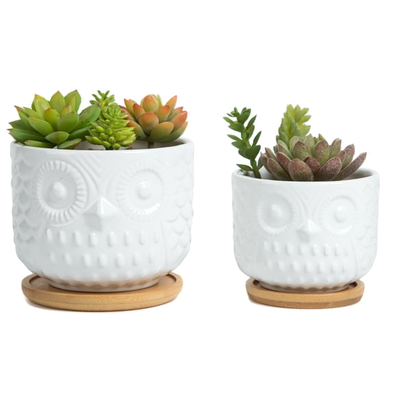 K-Cliffs Owl Succulent Planter, Animal  Pots with Drainage Hole and Bamboo Saucer, Set of 2, Color; White
