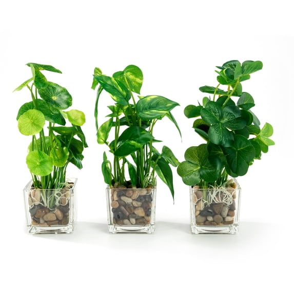 K-Cliffs Set of 3 Faux Green Plants Potted in Clear Glass Cubes with Mini Pebbles
