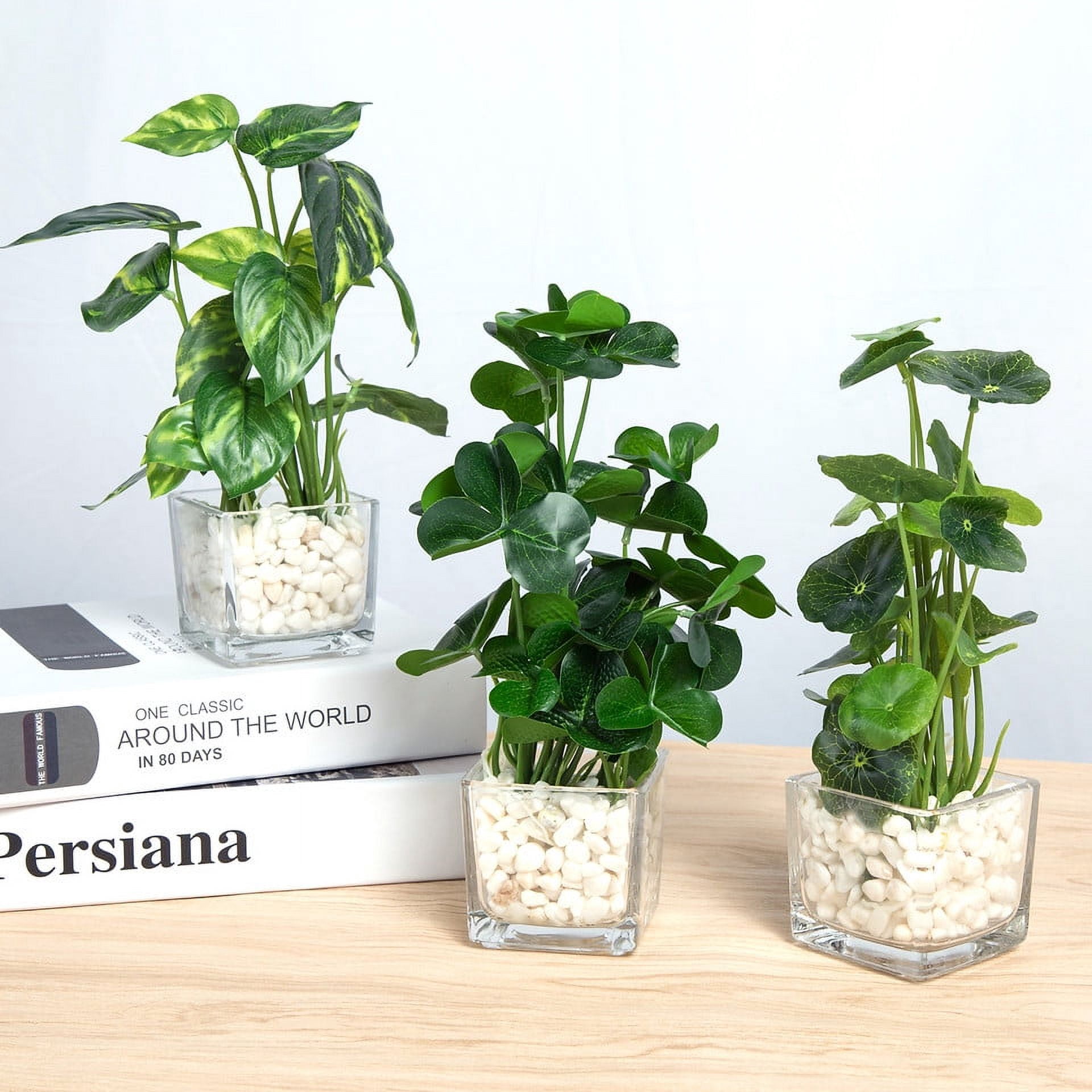 K-Cliffs Set of 3 Faux Plants in Clear Glass Pots w/ Decorative White Stones. 2.75”W x 2.75”L x 2.5”H (Pot) 2.75”W x 2.75”L x 9.4”H, 2lbs