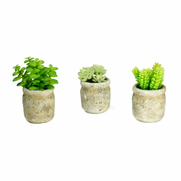K-Cliffs Set of 3 Faux Succulents in Rustic Cement Pots, 4 inches High Each