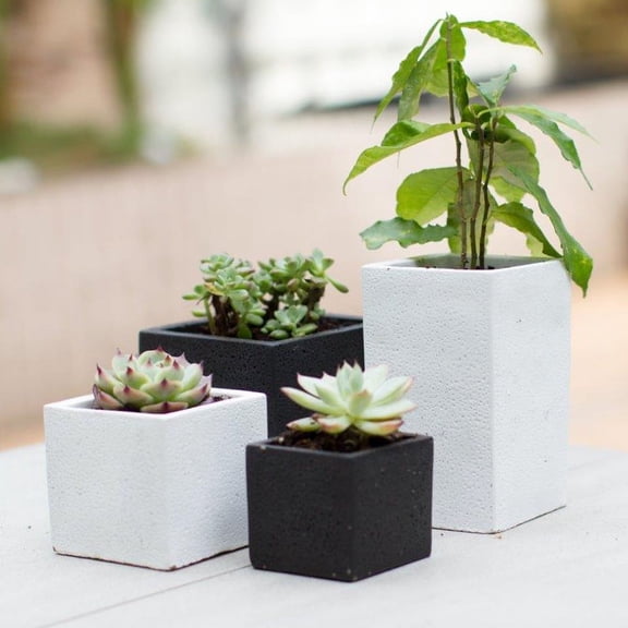 K-Cliffs Set of 4 Black and White Succulent Planters, Plant Pots for Air Plants and Cactus