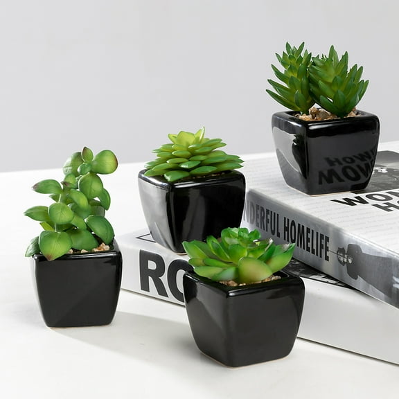 K-Cliffs Set of 4 Mini Artificial Succulents Potted in Cube-Shape Black Ceramic Pots , Dimensions(in inches):  11.0L x 3.0W x 4.3H"