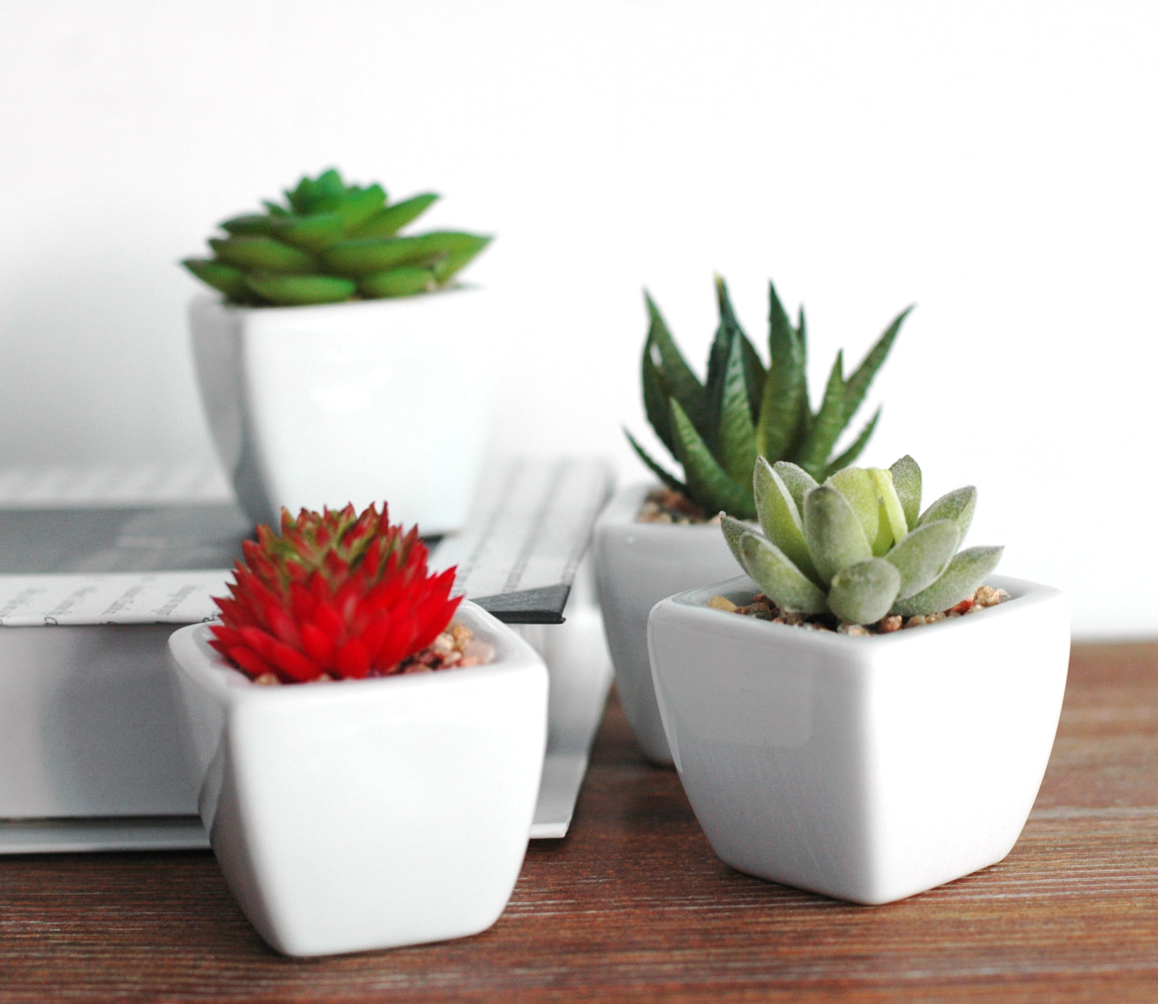 K-Cliffs Set of 4 Mini Faux Succulents in White Squared Ceramic Pots,  4,  2 L x 2 W x 2 H inches, 2lbs