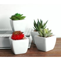 K-Cliffs Set of 4 Mini Faux Succulents in White Squared Ceramic Pots,  4,  2 L x 2 W x 2 H inches, 2lbs