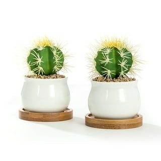 White Jar Shape Design Ceramic Succulent Plant Pot/Cactus Plant Pot With Bamboo Tray, Set of 2 White Jar Shape Design Ceramic Succulent Plant Pot/Cactus Plant Pot With Bamboo Tray, Set of 2