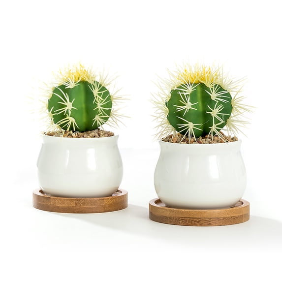 K-Cliffs White Jar Shape Design Ceramic Pots with Bamboo Tray, Set of Pot - 2.75L x 2.75W x 2H inches; Bamboo Saucer - 3.2L x 3.2W x 0.5H inches