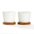 thumbnail image 1 of K-Cliffs White Modern Oval Ceramic Succulent  Pots with Bamboo Tray, Set of 2, 3.5Dia x 3H inches, Pot- 3.5Dia x 2.6H inches, Saucer- 3.5Dia x 0.5H inches", 1 of 2