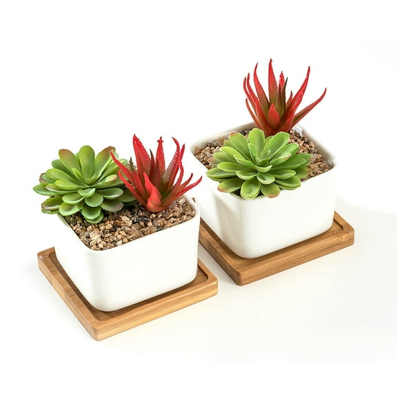 K-Cliffs White Square Ceramic Succulent Plant Pot With Bamboo Tray, Set of 2
