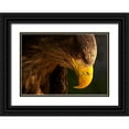 thumbnail image 1 of K.H., Adriana 14x11 Black Ornate Wood Framed with Double Matting Museum Art Print Titled - Eagle Pursues Prey, 1 of 4