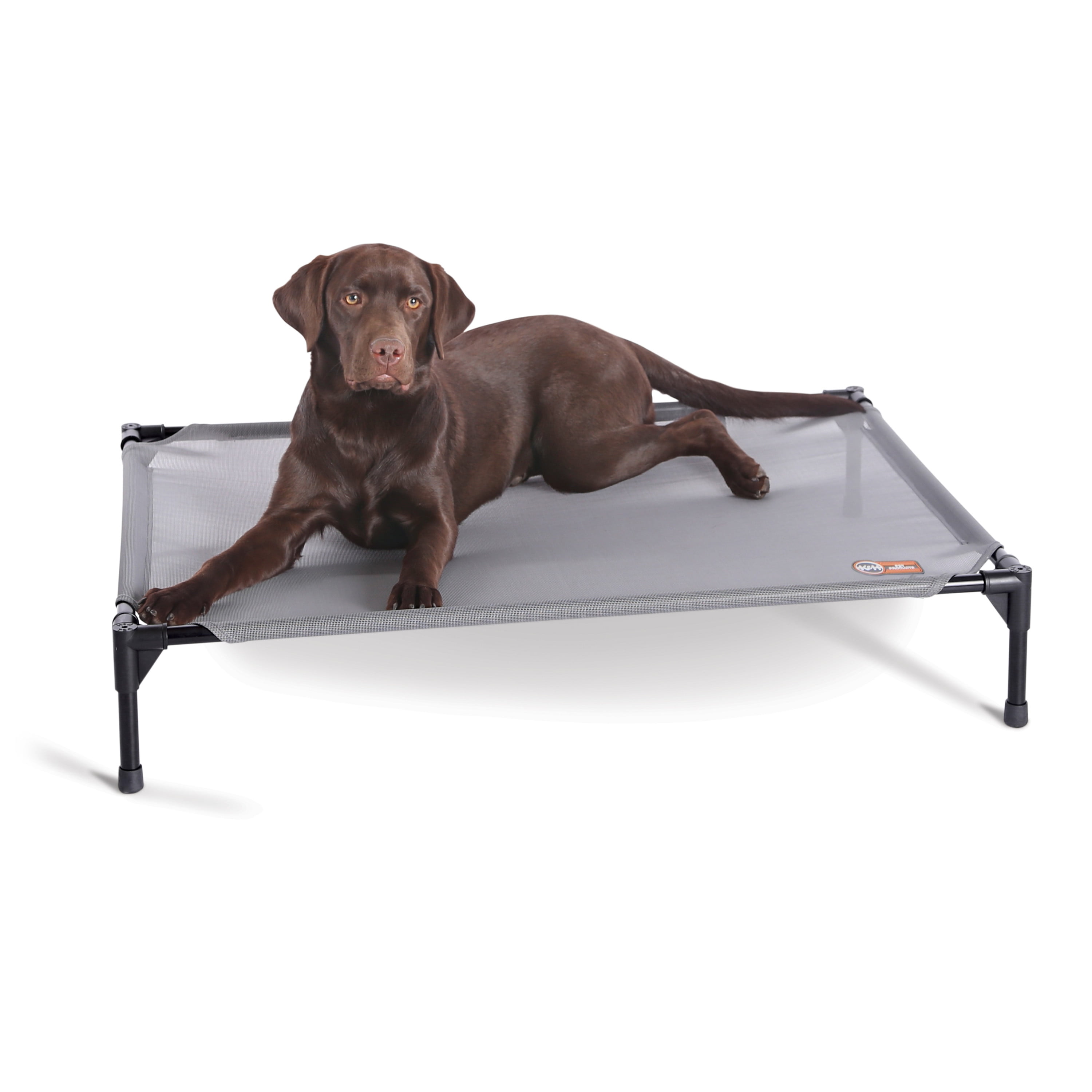 Walmart clearance pet cot