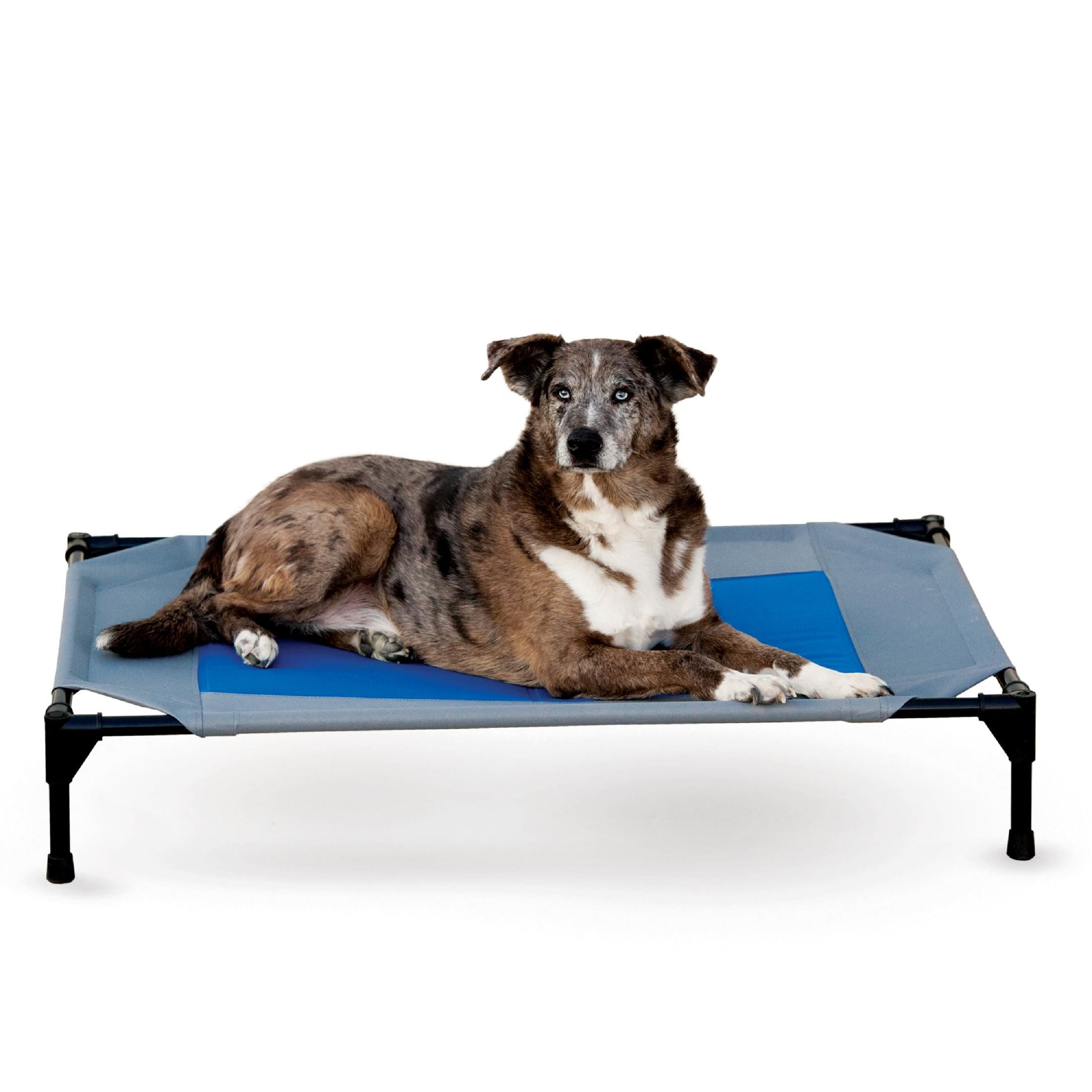 Large Gray and Blue Elevated Waterproof Outdoor Pet Cot