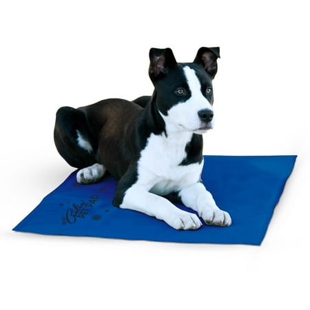 K&H Pet Products Coolin' Pet Pad Blue Large 36 X 20 Inches