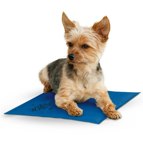 K&H Pet Products Coolin' Pet Pad Blue Small 11 X 15 Inches