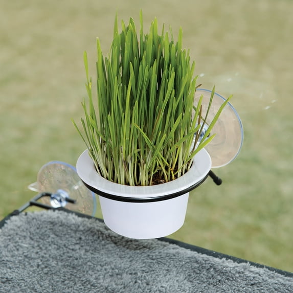 K&H Pet Products EZ Mount Window Cat Grass Grow Station Black/White 5.25 X 4 X 4 Inches