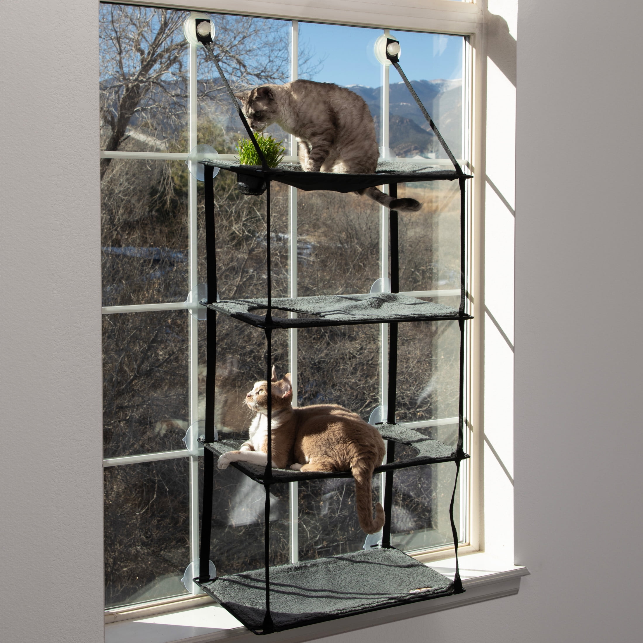 Quad Stack Gray Suction Mount Cat Window Perch with Grass Station