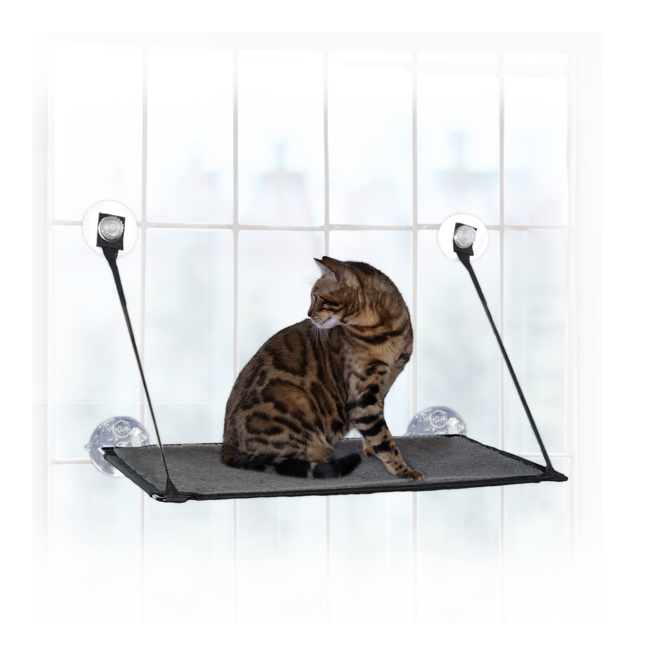 Gray Single Level Cat Window Perch with Suction Cups